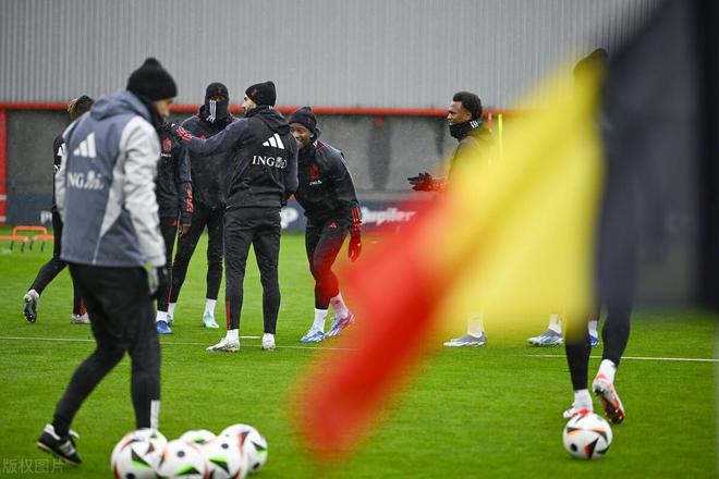 开云体育官网入口-关于比利时队在比赛中表现稳健，凭借两球胜出的信息