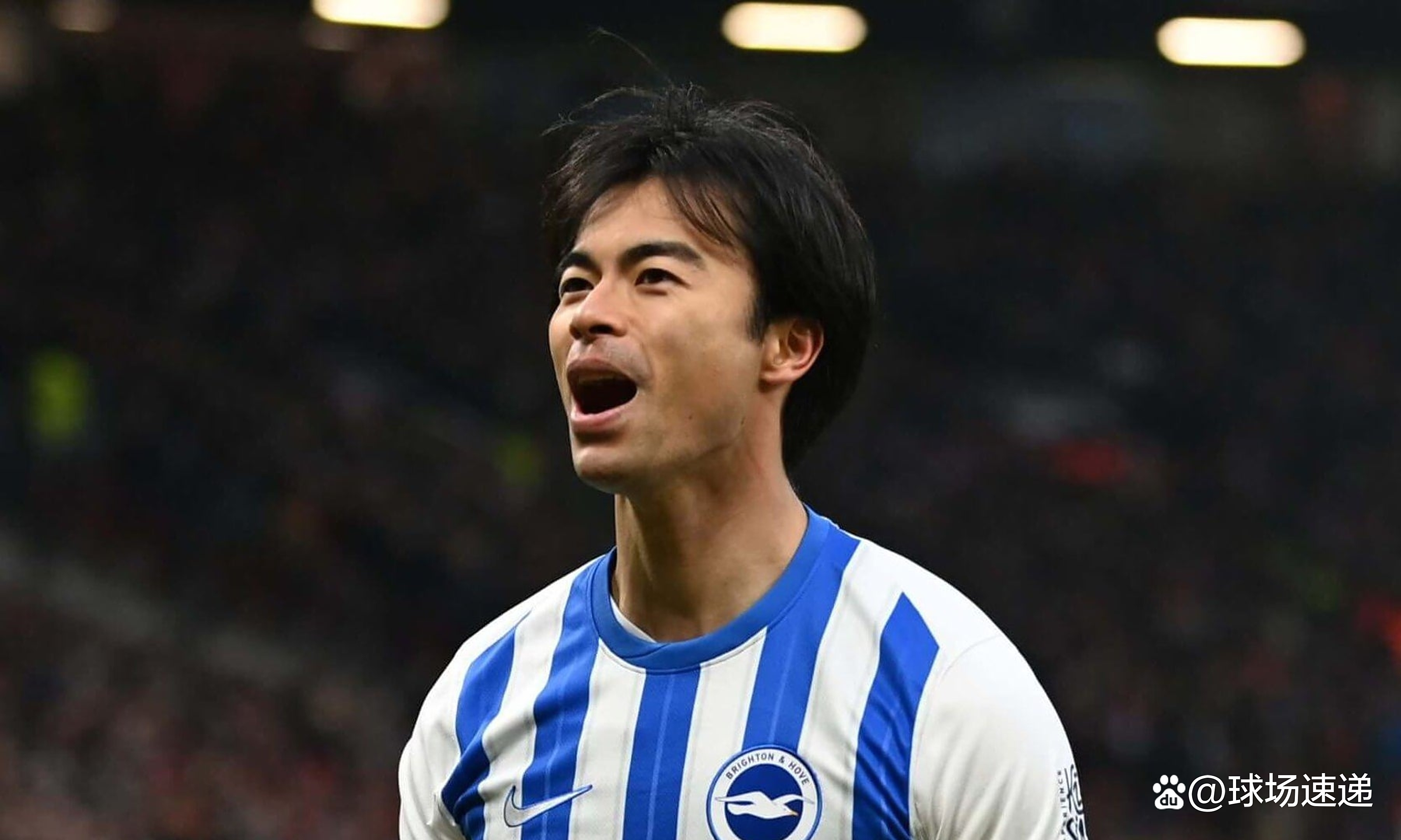 开云体育网页版-布莱顿球员因伤退出赛季，教练组急寻替补的简单介绍